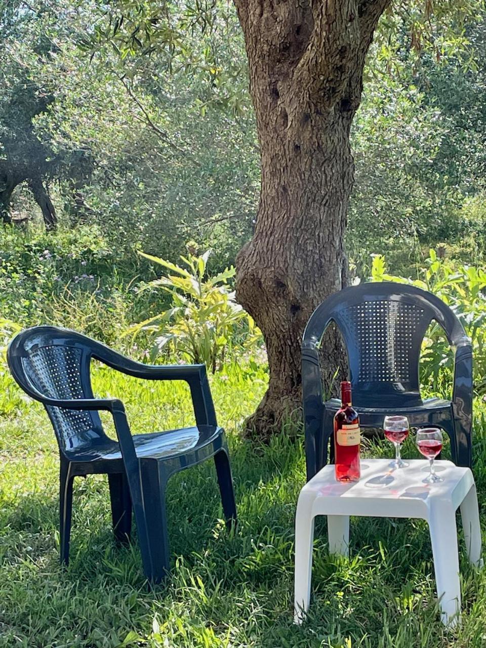 Vakantiehuis Kassopia Serenity Place Lefkímmi
